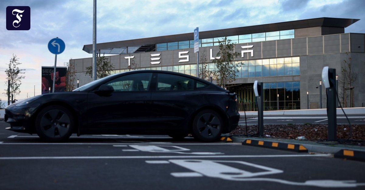 Tesla-Produktion bei Berlin steht still – Fabrik evakuiert